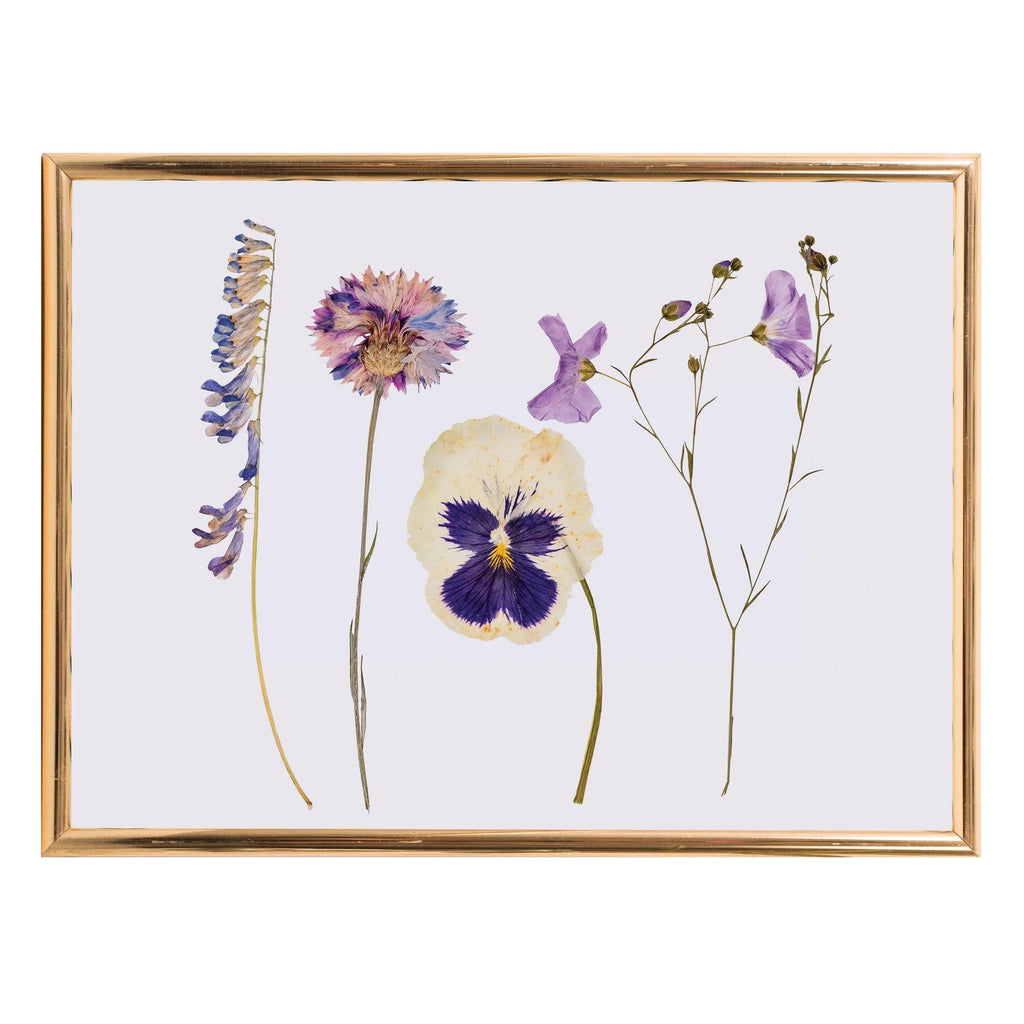 Classic Flower Press - The Leprosy Mission Shop