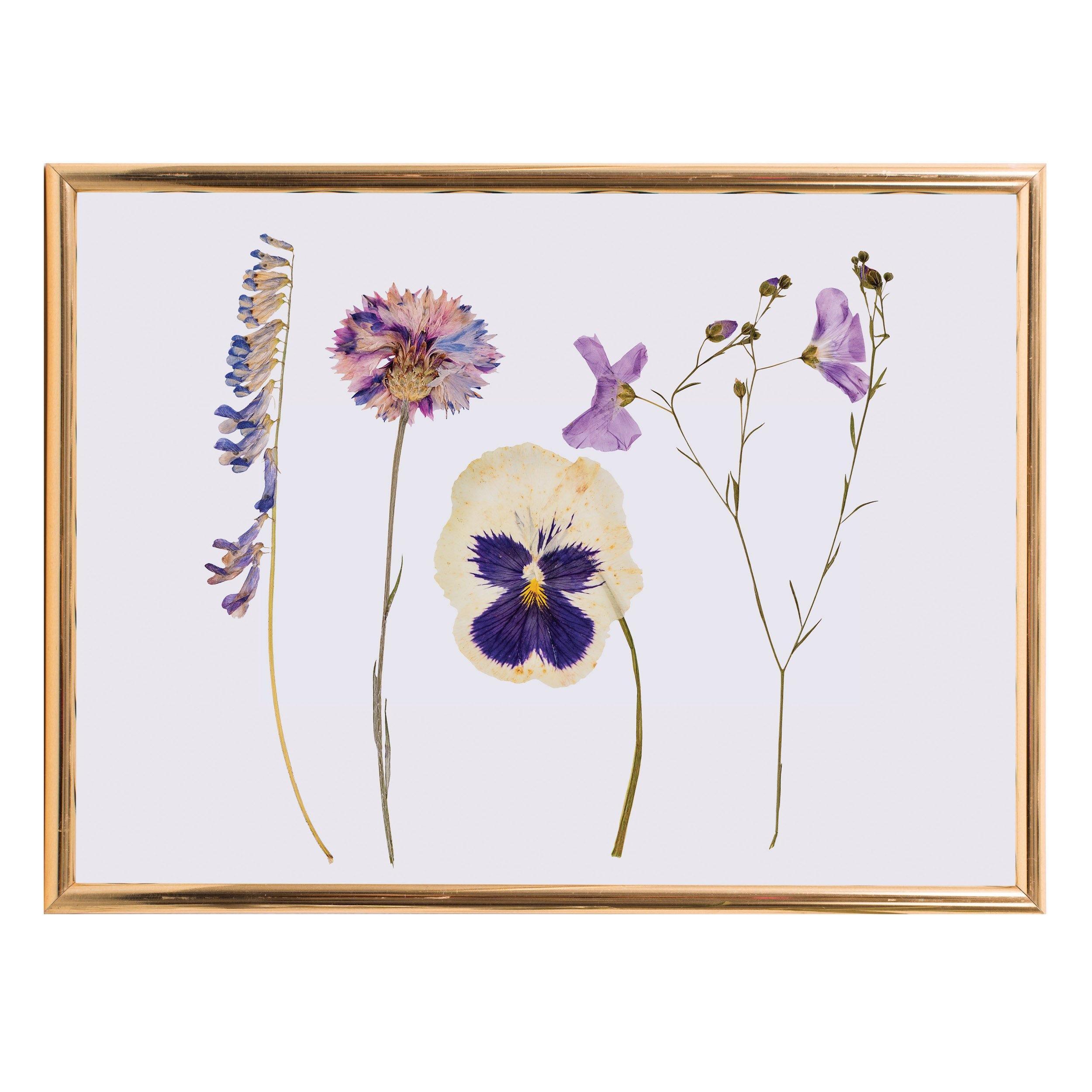 Classic Flower Press - The Leprosy Mission Shop