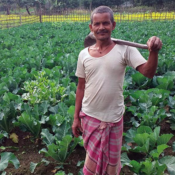 Farmers Tool Box - Gift of Love (Donation) - The Leprosy Mission Shop