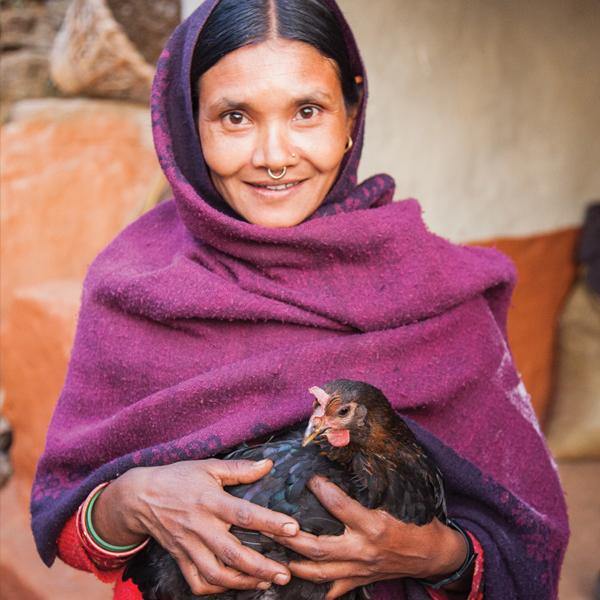 Gift of Love - Pair of Chickens* - The Leprosy Mission Australia Shop