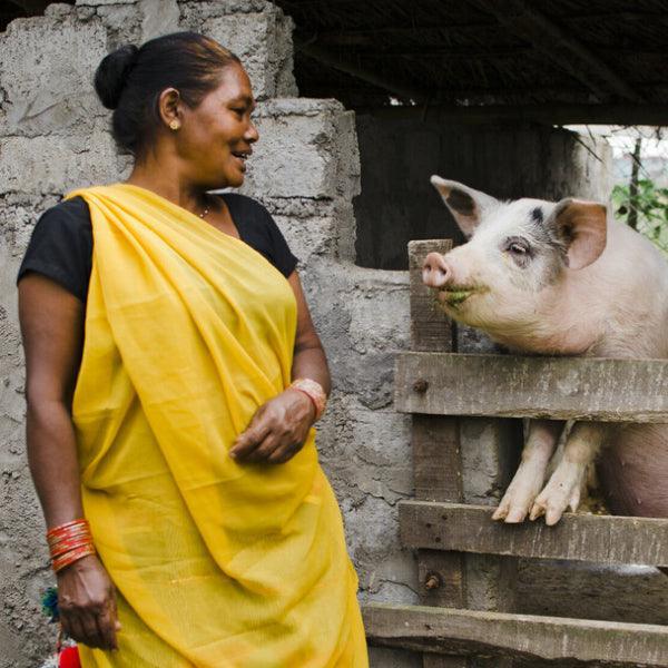 Piglet - Gift of Love (Donation) - The Leprosy Mission Shop