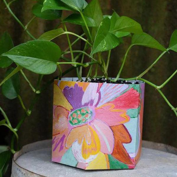 Medium Pop Up Pot - The Leprosy Mission Shop